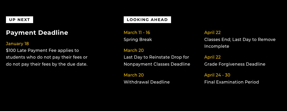 Modern Academic Calendar layout example