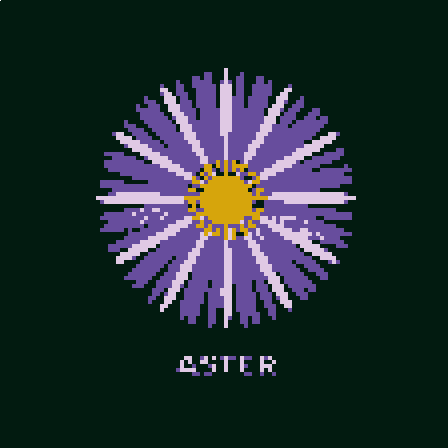 Aster project preview