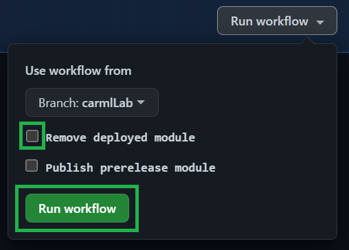 Execute the workflow