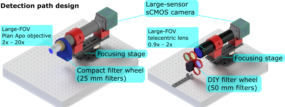 Detection path CAD